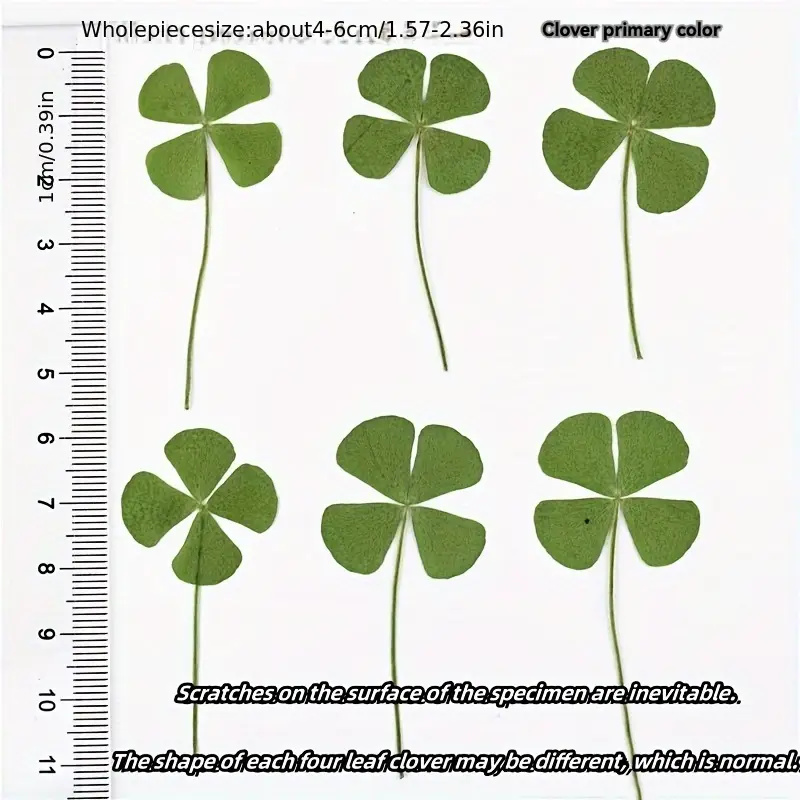 Ideal Stationery & Office Supply - 15Pcs Lucky Simulation Four-Leaf Clover Postcards