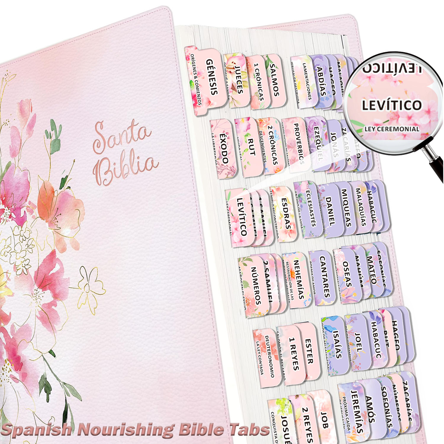 80pcs Spanish Bible Tabs-Soul  - đánh giá và giá Index Tab Divider