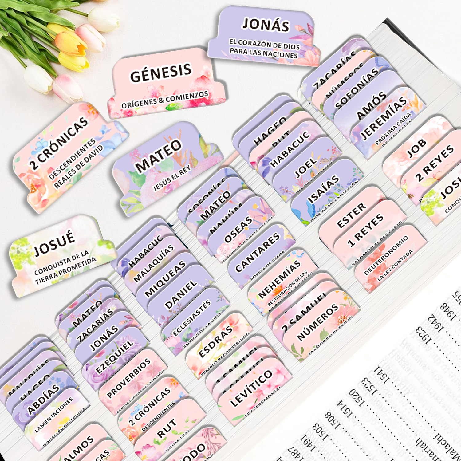 80pcs Spanish Bible Tabs-Soul  - đánh giá và giá Index Tab Divider