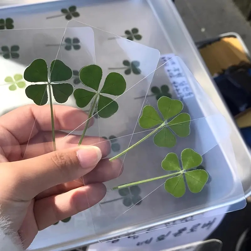 15Pcs Lucky Simulation Four-Le - đánh giá và giá Ideal Stationery & Office Supply